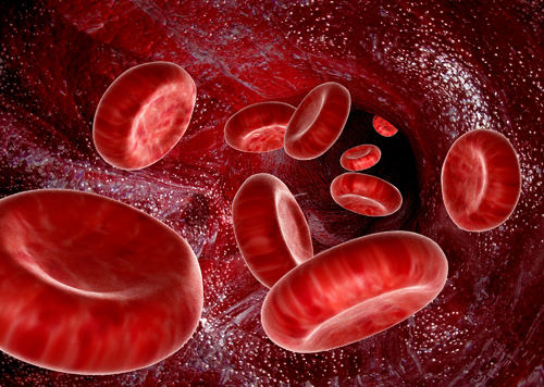 Blood - The Vital Fluid of Life